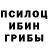 Псилоцибиновые грибы GOLDEN TEACHER Preeti Choudhary