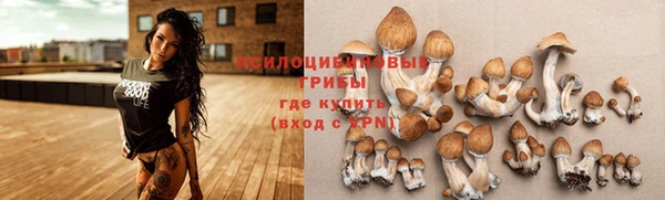 альфа пвп Липки