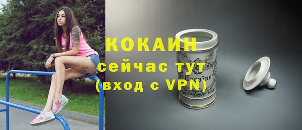 сатива Дмитровск