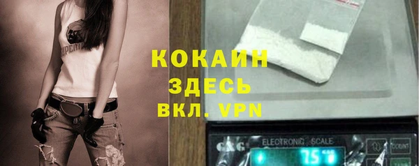 сатива Дмитровск