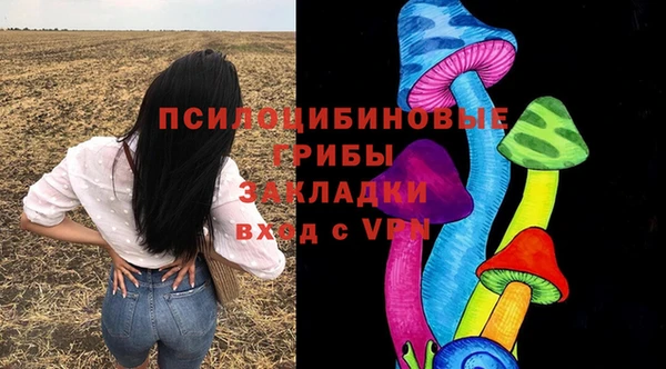 прущая мука Дмитриев