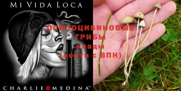 прущие грибы Лихославль