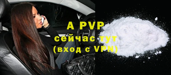 сатива Дмитровск