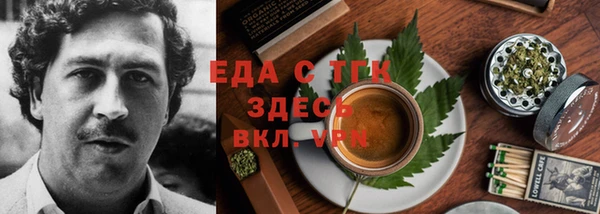хмурый Гусев
