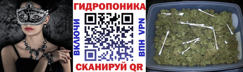 закладки  Жигулёвск  Марихуана THC 21% 